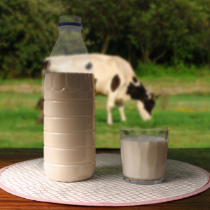 leite de vaca na garrafa 